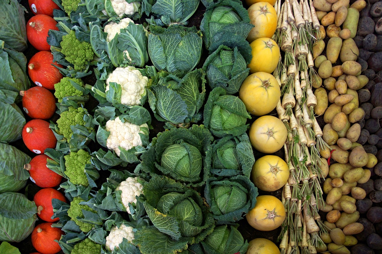 Best Tips for Growing Cabbage in Your Garden